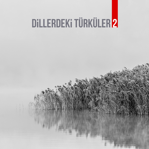 Dillerdeki Türküler 2